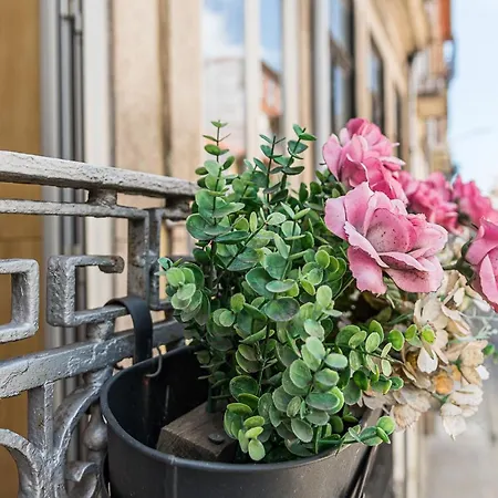 شقة Sunrise House